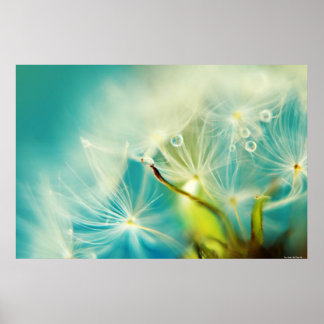 Affiches Eaux descendantes