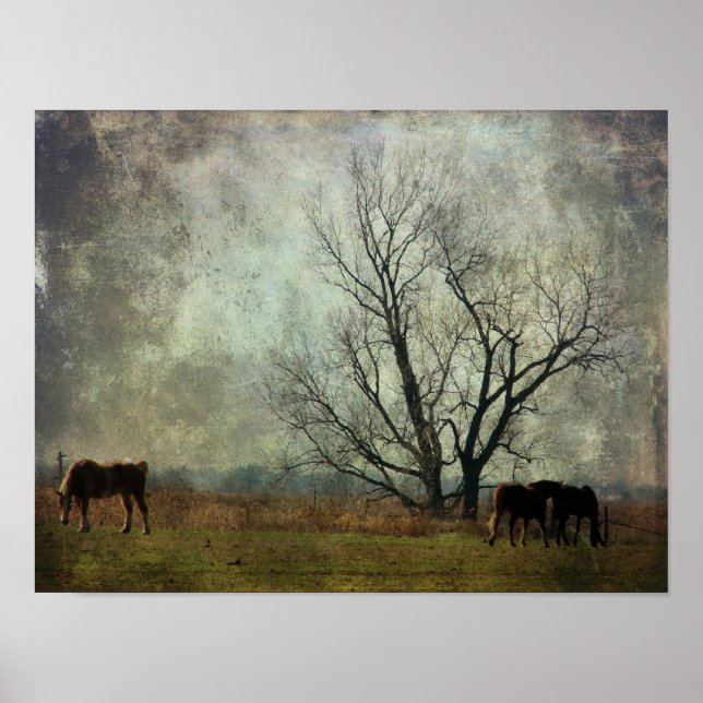 Affiches Ébauche de chevaux en campagne (Devant)