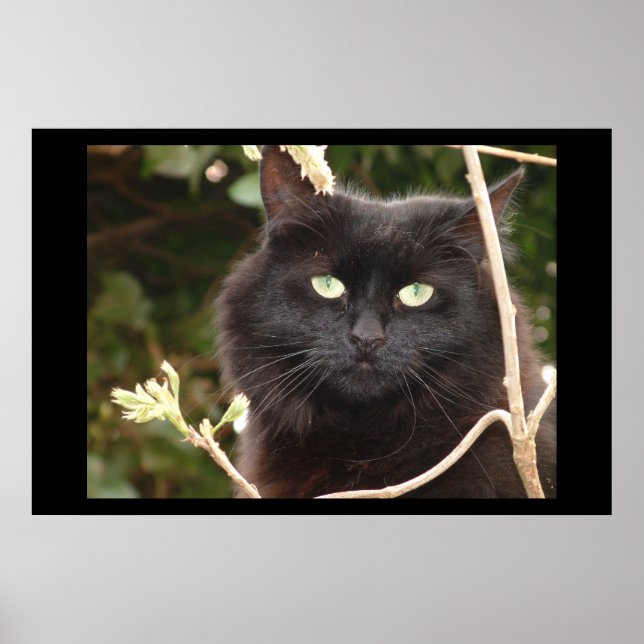 Affiches Ébène (Devant)