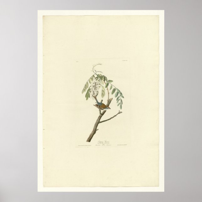 Affiches Écart (Devant)