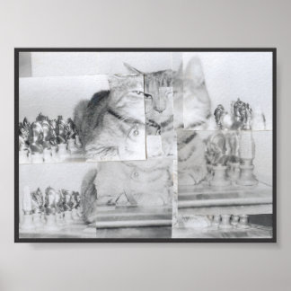 Affiches Échecs de chats