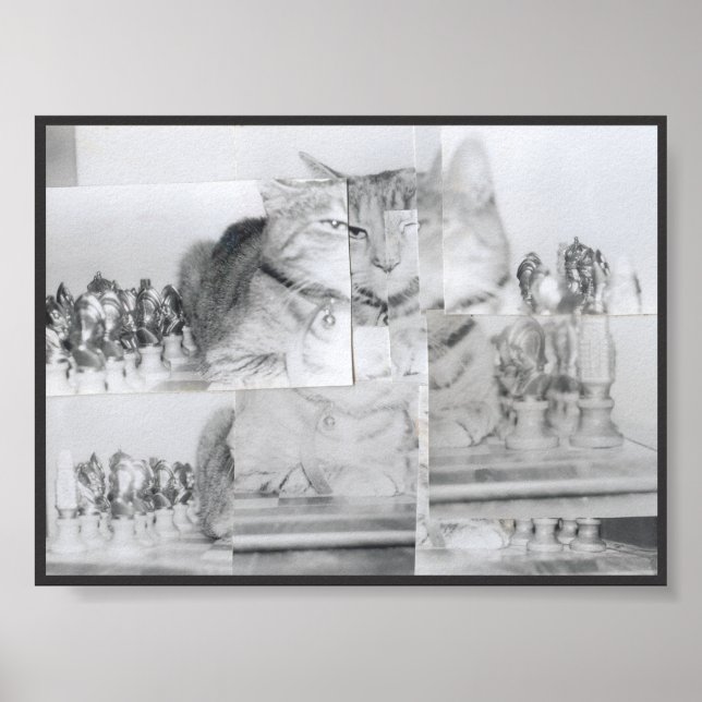 Affiches Échecs de chats (Devant)