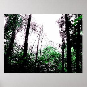 Affiches Éclabousse du vert