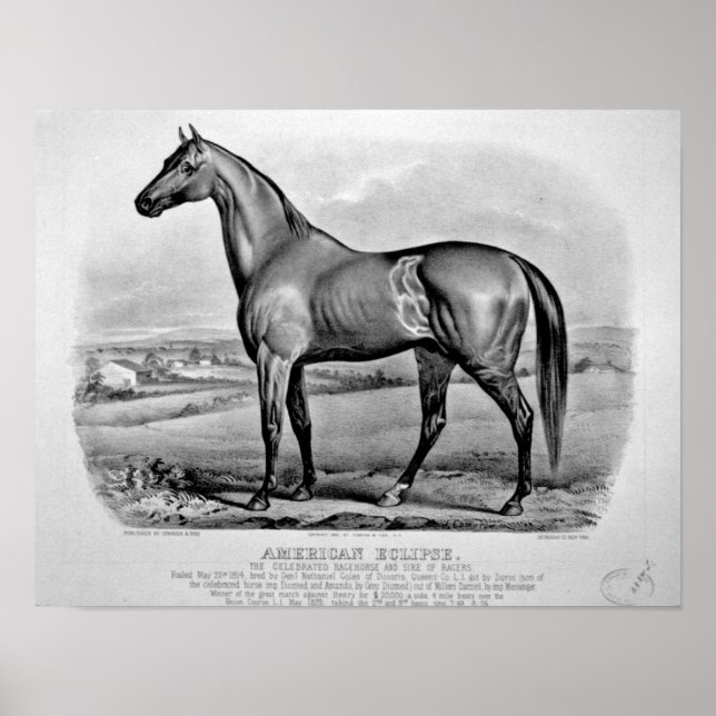 Affiches Éclipse américaine (Devant)