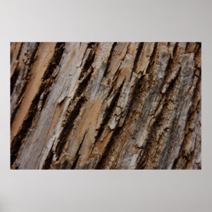 Affiches Écorce d'arbre I Dessin texturé abstrait naturel
