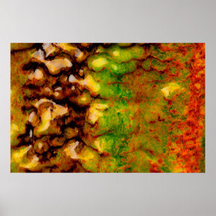 Affiches écosystème thermique