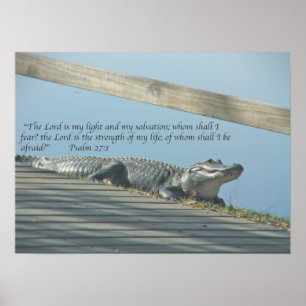 Affiches Écriture sainte d'alligator