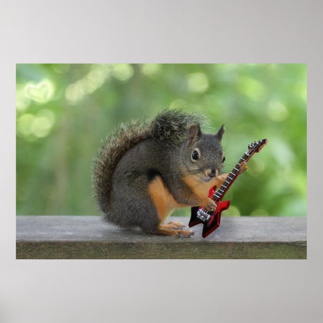 Affiches Écureuil Jouant de la guitare électrique (Devant)
