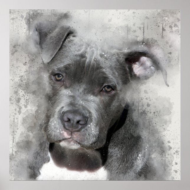 Affiches Effet Splatter Aquarelle Peinture Pit Bull Chien (Devant)