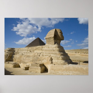 Affiches Égypte, Gizeh. Le grand Sphynx s'élève au-dessus d