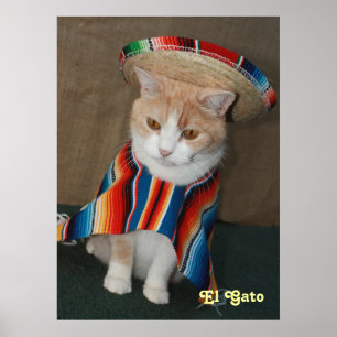 Affiches El Gato