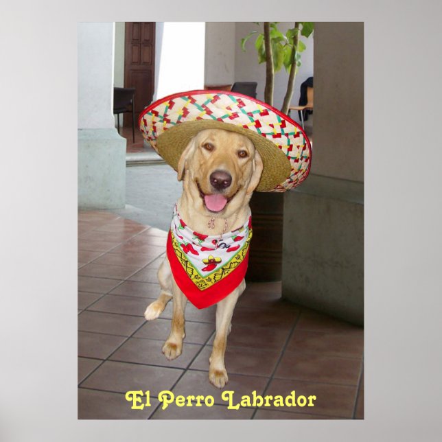 Affiches El Perro (Devant)