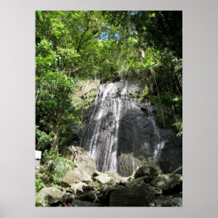 Affiches El Yunque Porto Rico photo encadrée