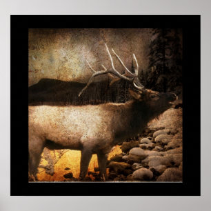 Affiches Élans rustiques de taureau de montagne de forêt de