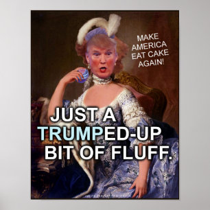 Affiches Élection anti-Donald Trump Marie Antoinette 2020