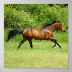 Affiches Electrichorse
