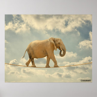 Affiches Elefante