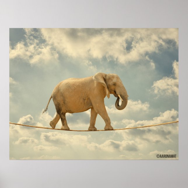 Affiches Elefante (Devant)