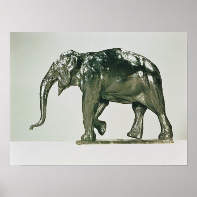 Affiches Eléphant blanc (Devant)