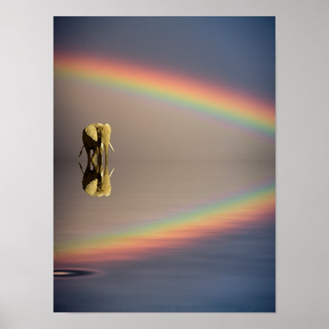 Affiches Éléphant, eau et arc-en-ciel, Kenya (Devant)