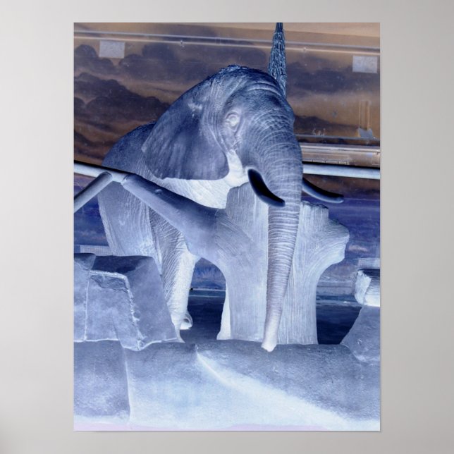 Affiches Eléphant Pop Art (Devant)