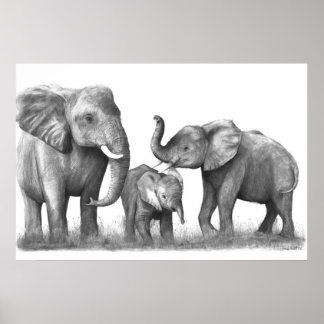 Affiches Eléphants_3