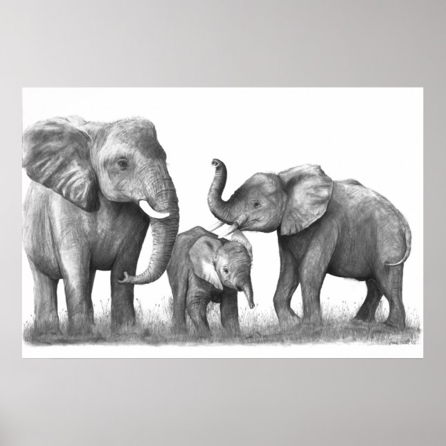 Affiches Eléphants_3 (Devant)