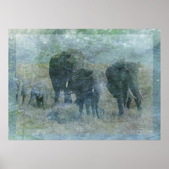 Affiches Eléphants de Chalk (Devant)