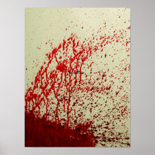 Affiches élevage de chouettes