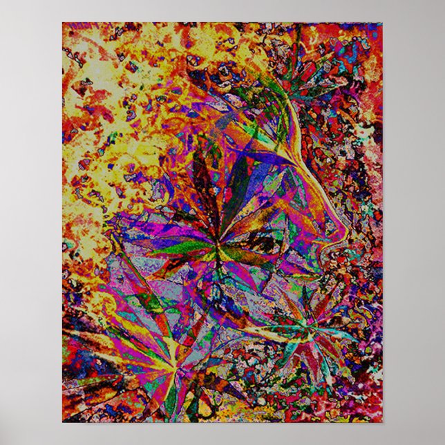 Affiches Elly (Devant)