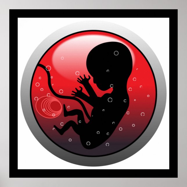 AFFICHES EMBRYO BÉBÉ HUMAIN (Devant)