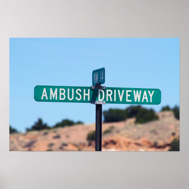 Affiches Embuscade Driway in New Mexico (Devant)