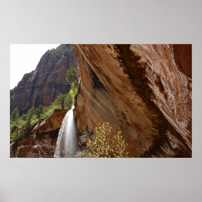 Affiches Emerald Pool Falls III du Parc national de Zion (Devant)