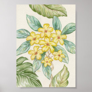 Affiches Empreinte artistique Plumeria jaune