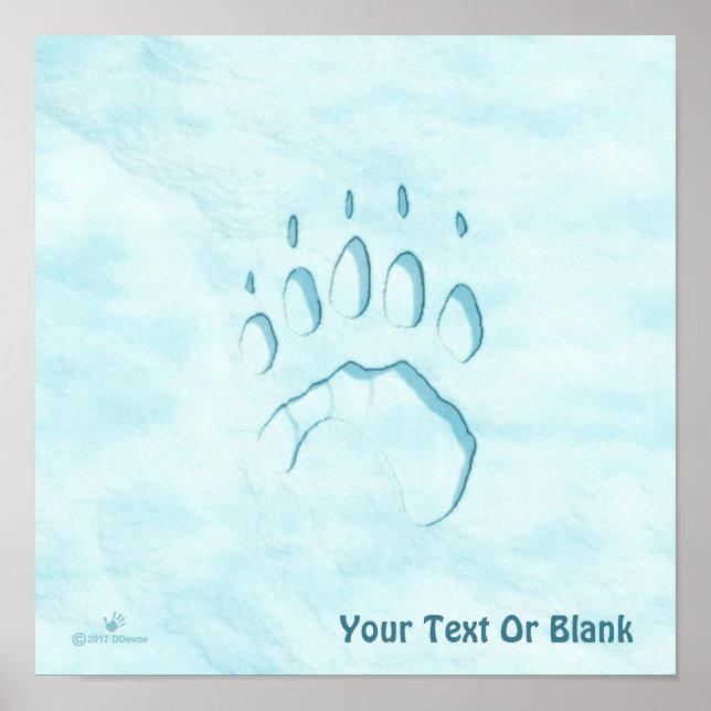 Affiches Empreinte de patte d'ours polaire (Devant)