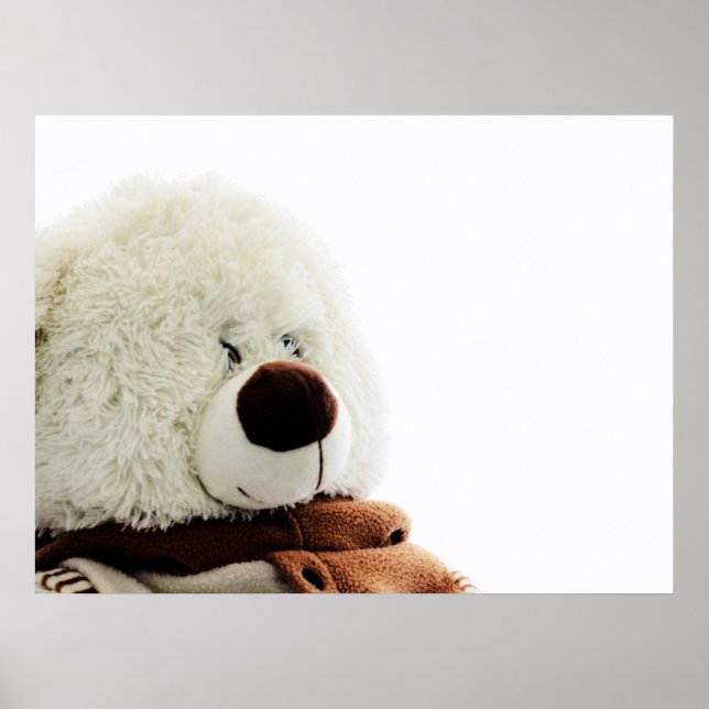 Affiches Empreinte d'ours (Devant)