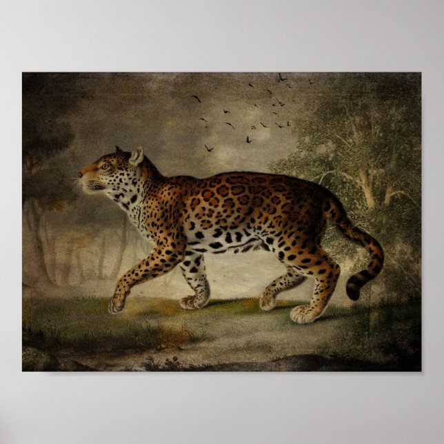 Affiches Emprunté à partir de l'arbre Rose (Devant)