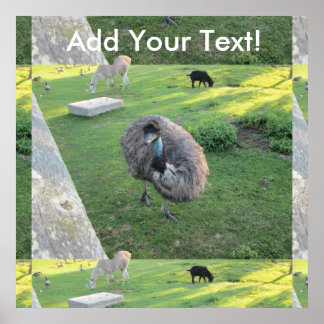 Affiches Emu