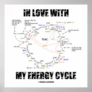Affiches En amour avec mon cycle d'énergie (Krebs Cycle)