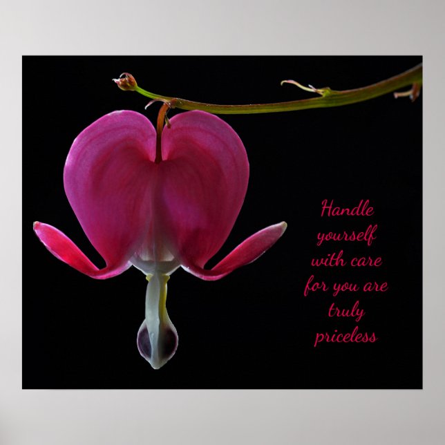 Affiches Encouragement de Fuchsia (Devant)