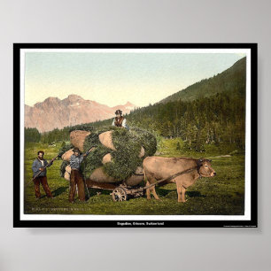 Affiches Engadine, Grisons, Suisse