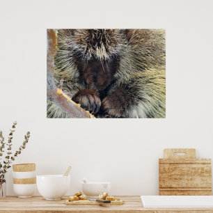 Affiches Énigme de la nature