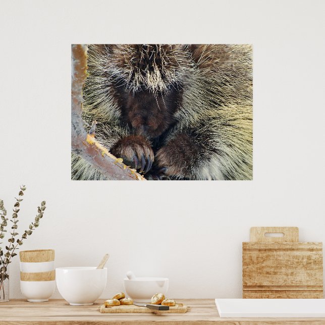 Affiches Énigme de la nature (Cuisine)