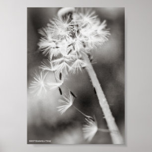 Affiches Envoi de souhaits