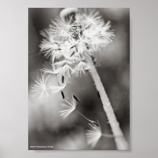 Affiches Envoi de souhaits (Devant)