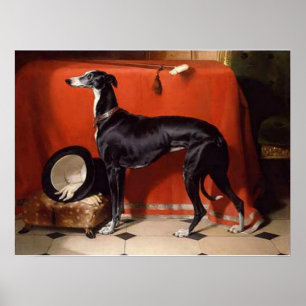Affiches Eos, un Greyhound préféré de Prince Albert