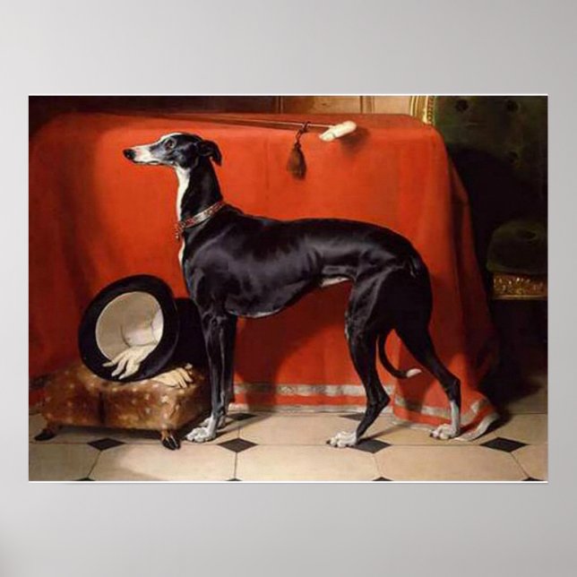 Affiches Eos, un Greyhound préféré de Prince Albert (Devant)