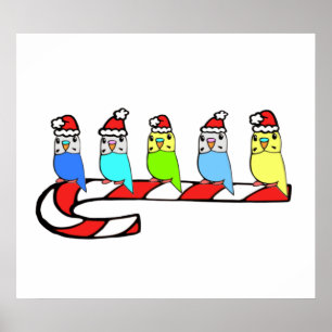 Affiches Épouses - Noël