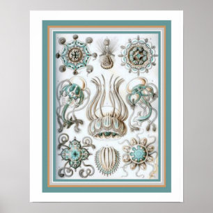 Affiches Ernst Haeckel "la géométrie sacrée" 16 x copie 20