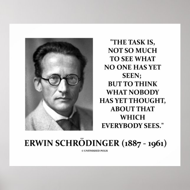 Affiches Erwin Schrödinger Tâche Penser Personne Encore Pen (Devant)